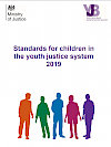 Standards for Children in the Youth Justice System