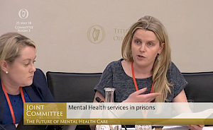 Presentation to JC on Future of Mental Health